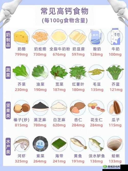 双龙进洞夹心饼干:高钙高蛋白的营养选择