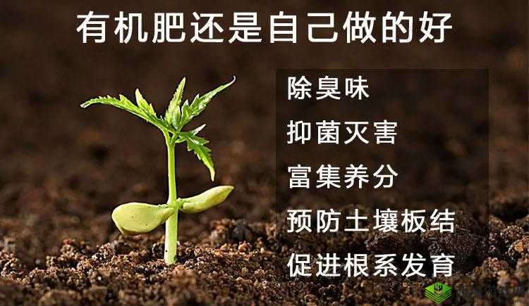 涓夈毇娓鐗堟櫘閫氳瘽鐗堝噳灞：独特魅力展现