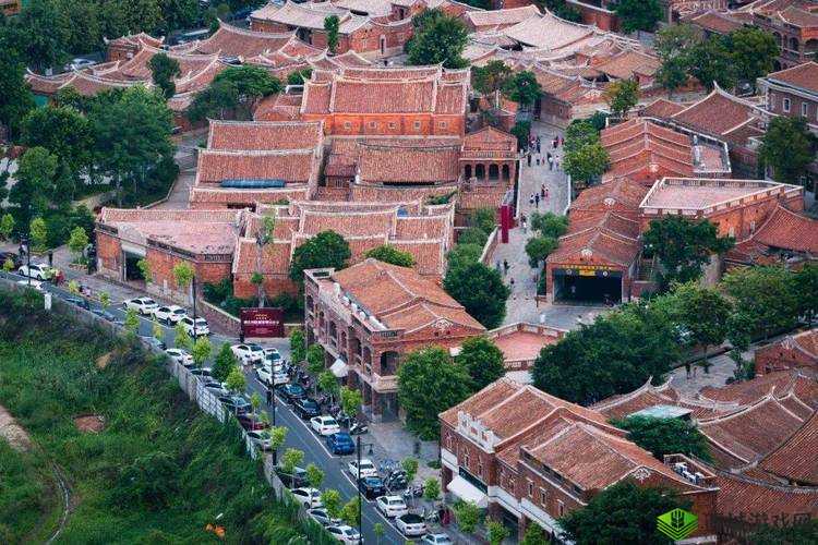 瀚﹀ē鐙傞欎钩娑插栧姳鑷宸变竴鍙:关于它的一些描述