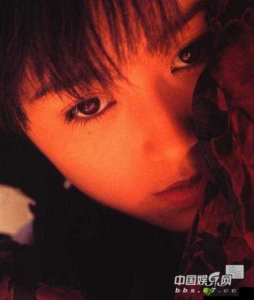 鏃ユ湰灏虹爜涓撶嚎娆ф床 b1b2：绾冲彴鍏ㄥ浗浜哄伐鍏锋€ц川鎬т氦閫氥€