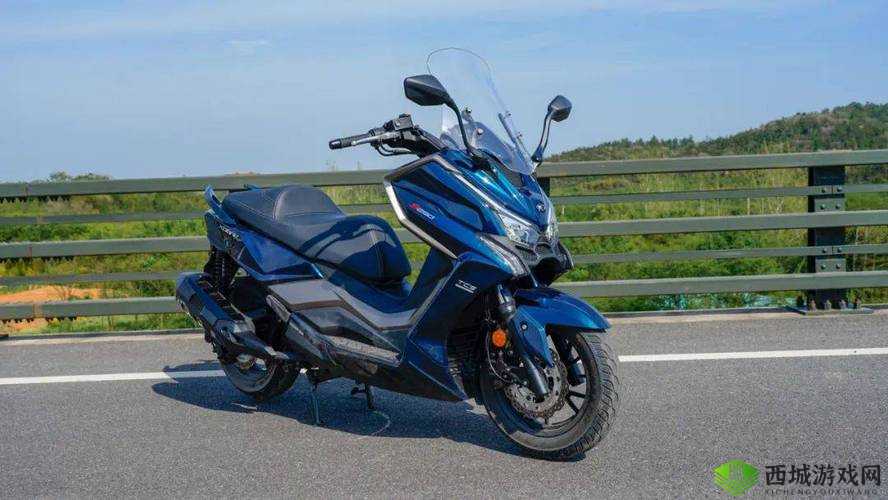 鎴愯壊濂絇 31S:独特视角解读