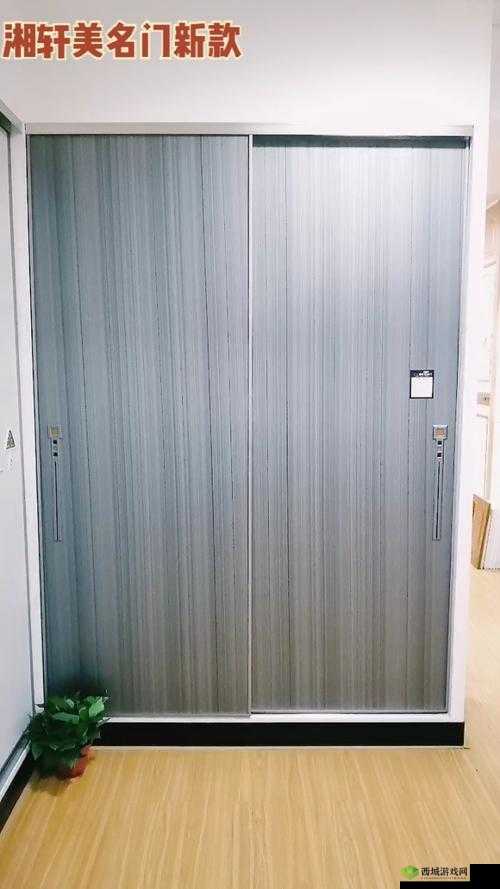 鍏板窞鎯呬荆 8 鍒 46 绉掕嗛戞儕鑹崇綉缁相关内容