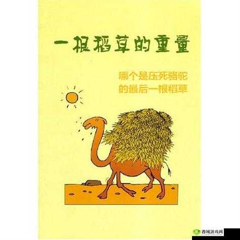 鍥涘窛XXXXXLMEDJYF7777777 背后的故事