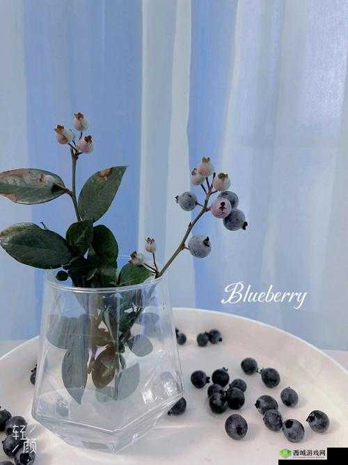 钃濊帗姹℃薄姹：探寻其神秘魅力