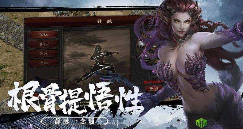 武道神尊手游揭秘：神纹系统独特玩法与神纹力量解析