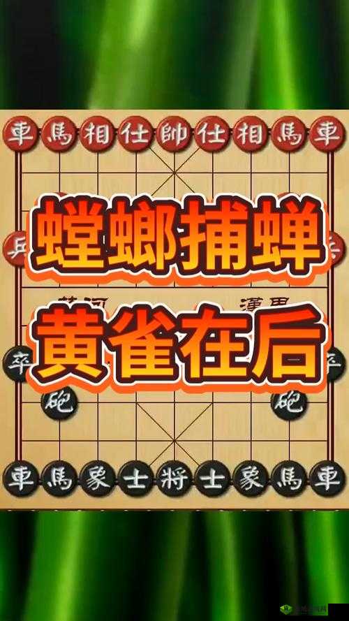 鍞愬北鎻掓洸鏈辩规竻涓嶄害涔愪箮：其含义解析