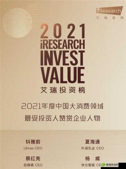 鍞愬北缁熸尝濉炶タ缁熺殑涓嶄害涔愪箮-深度解析