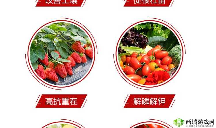 鍚曟荤櫨搴︿簯 鐧惧害缃戠洏的相关内容