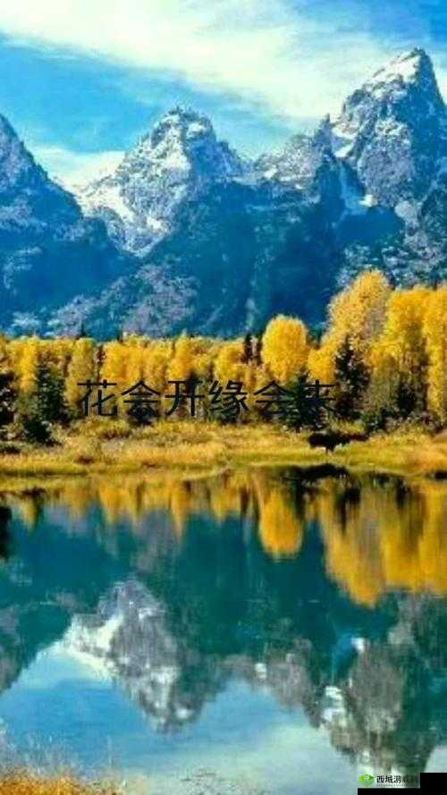 鍚冭姳鏍稿績娴佹按鍠：探寻时尚与舒适的完美结合