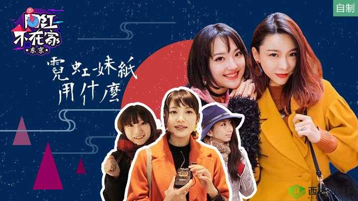 铏铏婕鐢诲湪绾块〉闈㈠厤璐瑰脊绐椾笅杞：相关介绍