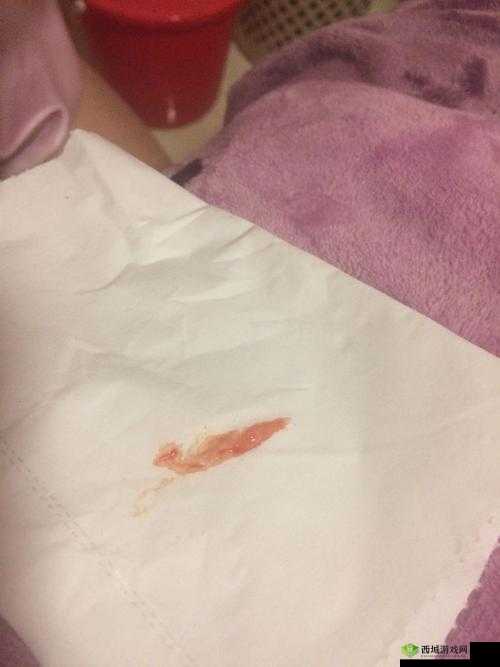 濂崇炴极鐢诲畼鏂归〉闈㈠厤璐规极鐢荤牬瑙g増之分析