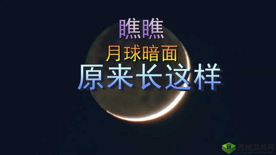 寮鍨︽瘝浜茶偉娌冪殑鍦熷湴鍙浠涔：关于它的探讨