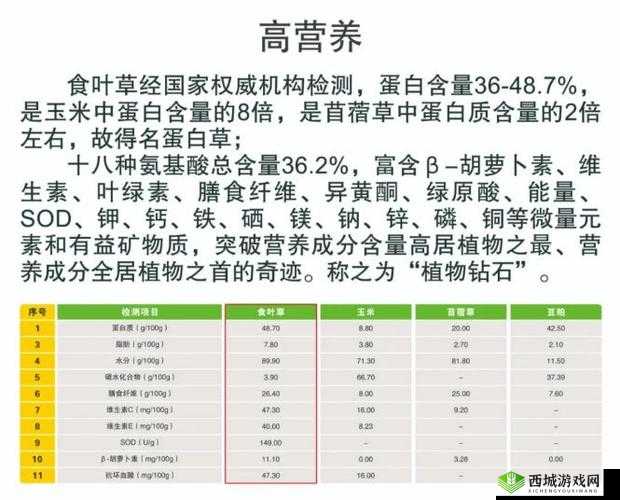 文库零境交错中幸运叶草的作用及获取方式详解：叶草如何入手？作用又是怎样的呢？