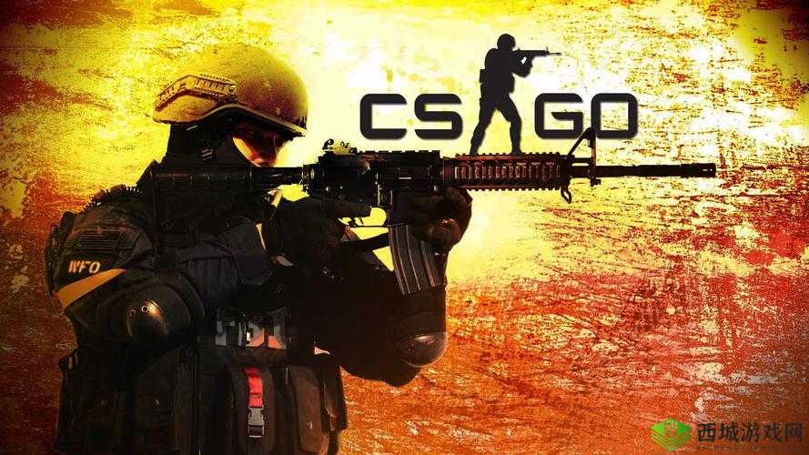 CSGO 高清视频免费播放软件：畅享精彩无极限