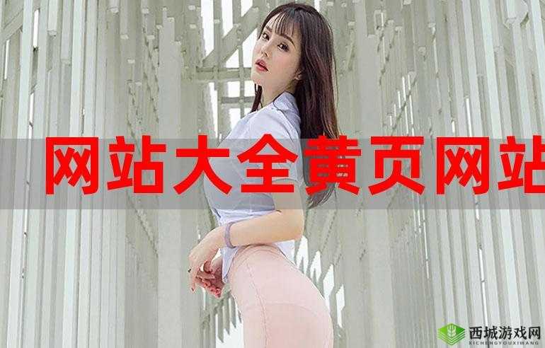 黄金网站 APP 视频大全：畅享海量精彩视频