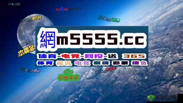 免费的行情网站入口:最新资讯抢先看