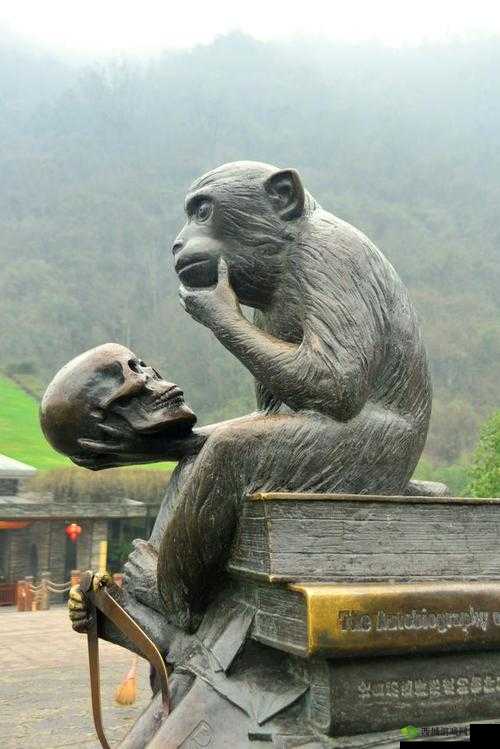 二人生猴子免费观看:探索未知的奇妙之旅