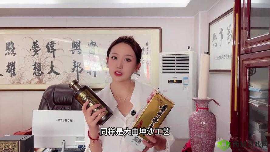 3.0.3 免费 vivo 版破解大全 2024：畅享游戏，超越极限