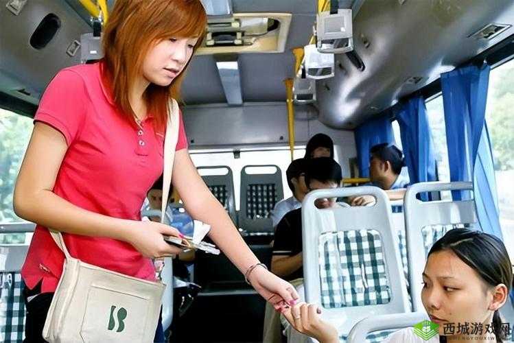 20 路公交车售票员:平凡岗位的不凡坚守