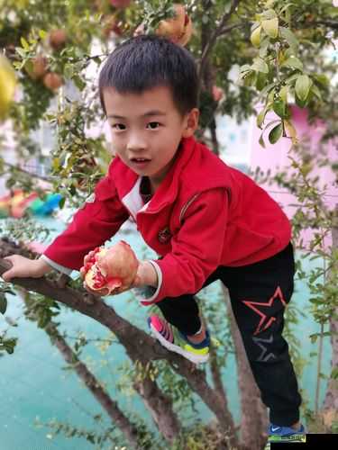 初遇去吧皮卡丘,训练师觉醒的别样精彩体验分享