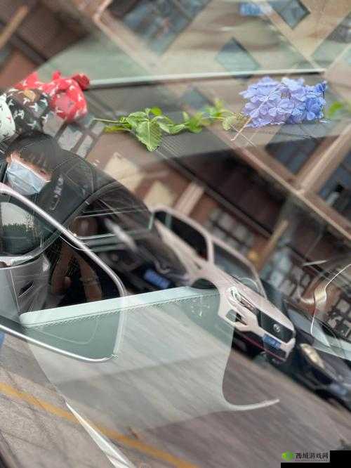 林岁岁贺景瑞岁岁常欢愉校园：青春时光的浪漫篇章