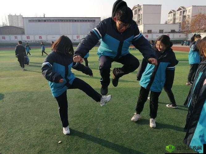 Home7City 纸巾盒游戏:趣味无限新体验