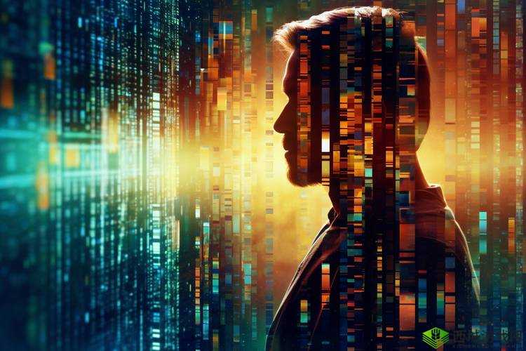 1024 人成网站色：探索数字背后的故事