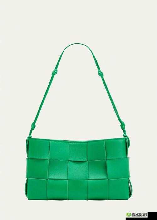 荷兰少归 BVBV：独特的青春风采