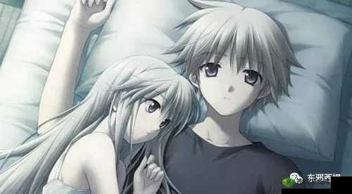 海角封神兄妹:WWW.17COM 背后的秘密