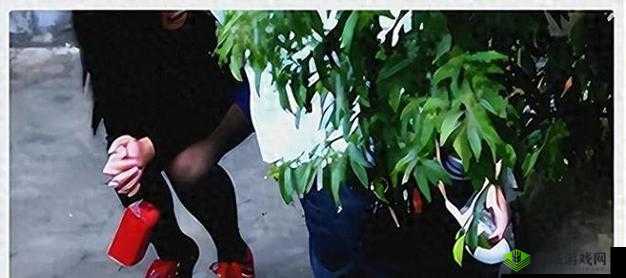 70 岁老人森林交易 10 元一次：令人震惊的现象