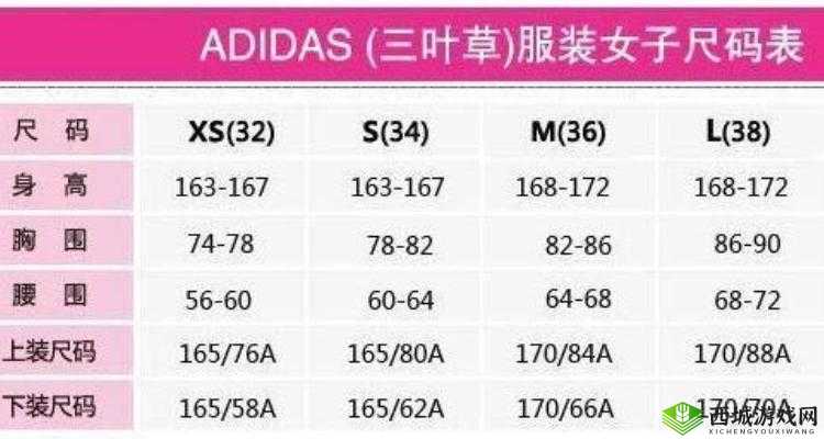 等级提升：三叶草 m 码和欧洲码区别