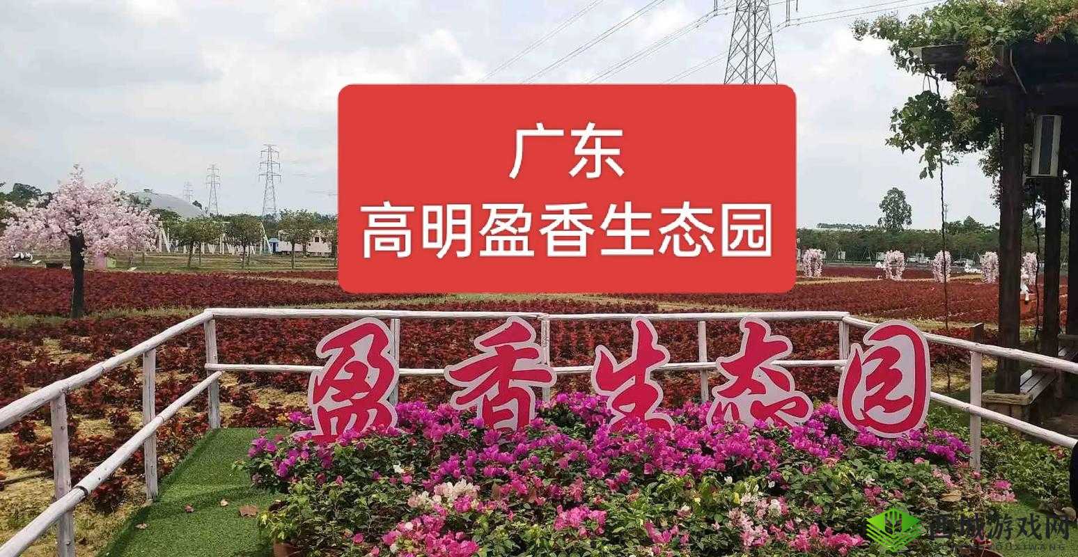 成品大香煮伊在 2024 一区：探索未知的神秘世界