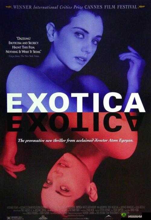 免费开放的 api 大全电影有哪些-相关介绍