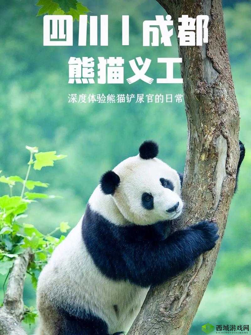 大 BW 毛毛多巨大 BW 大 BW 探秘已经免费了:快来体验