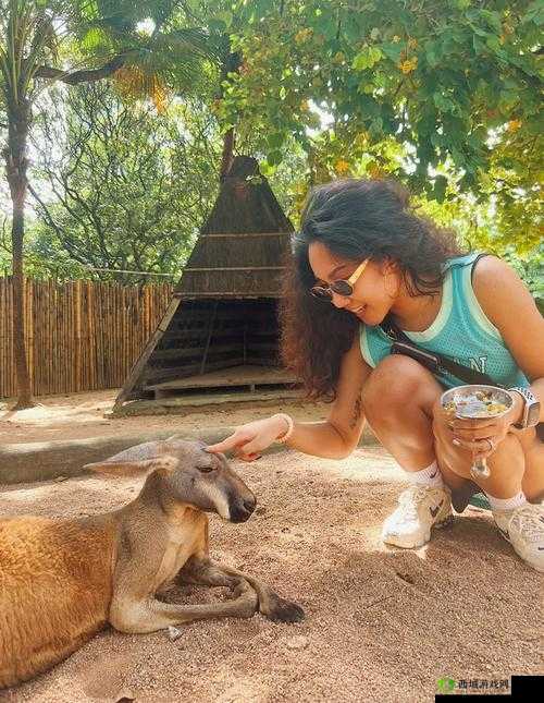 美国 Zoom 动物园:动物明星与你相约