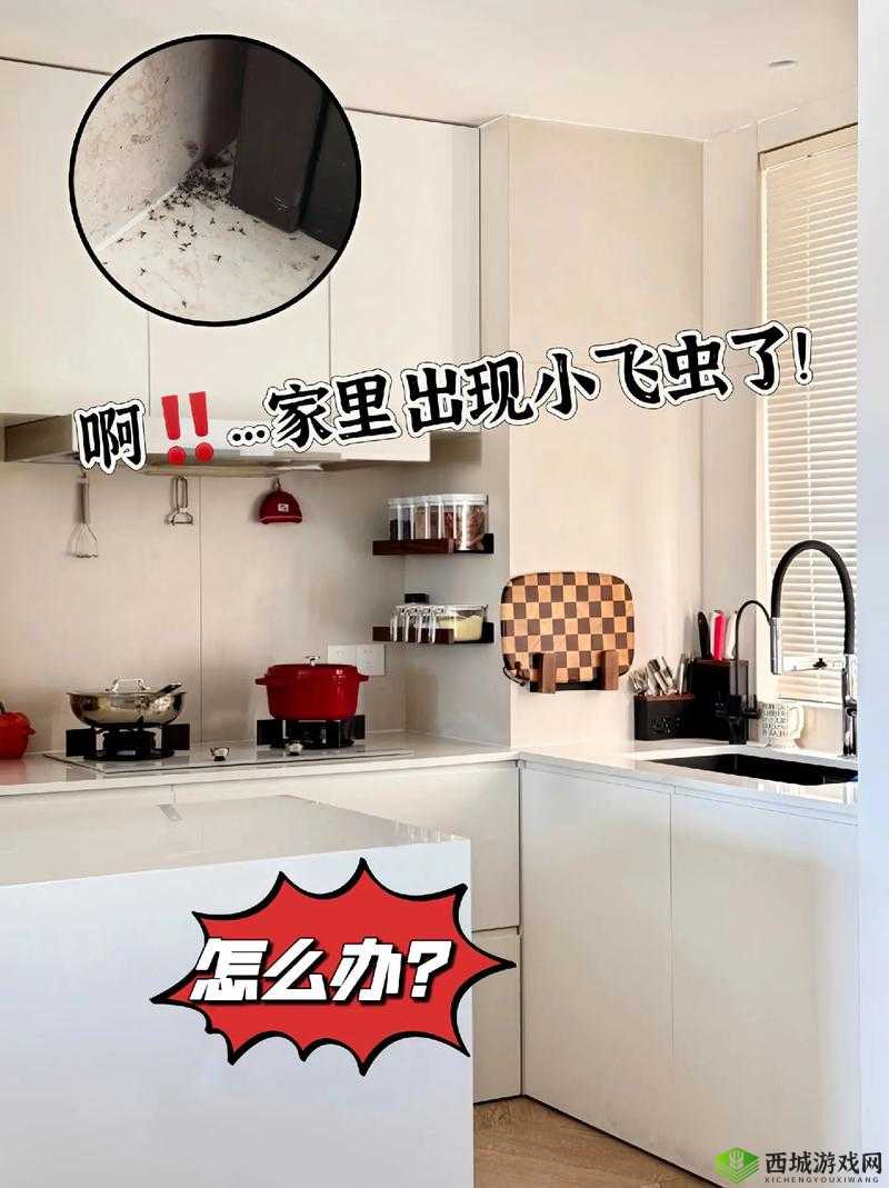 厨房间墙内发出噼里啪啦响声之谜