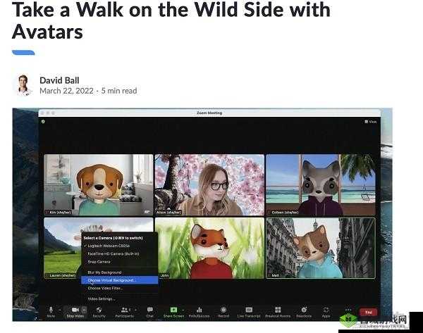 ZoomkooL 大全猪:探索奇妙世界