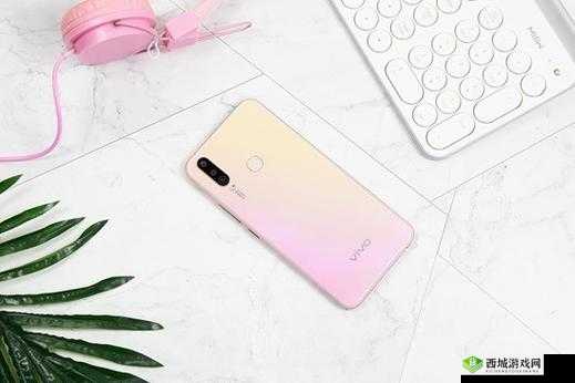 成色好的 Y3-优质品质与独特魅力