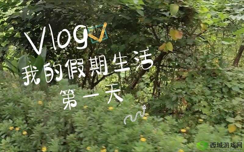 小芬的生活日记 VLOG：记录美好瞬间