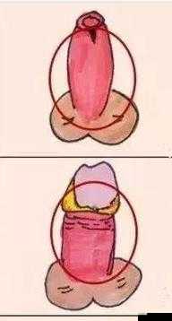 龟的头上有一层白色的膜怎么办:解决方法