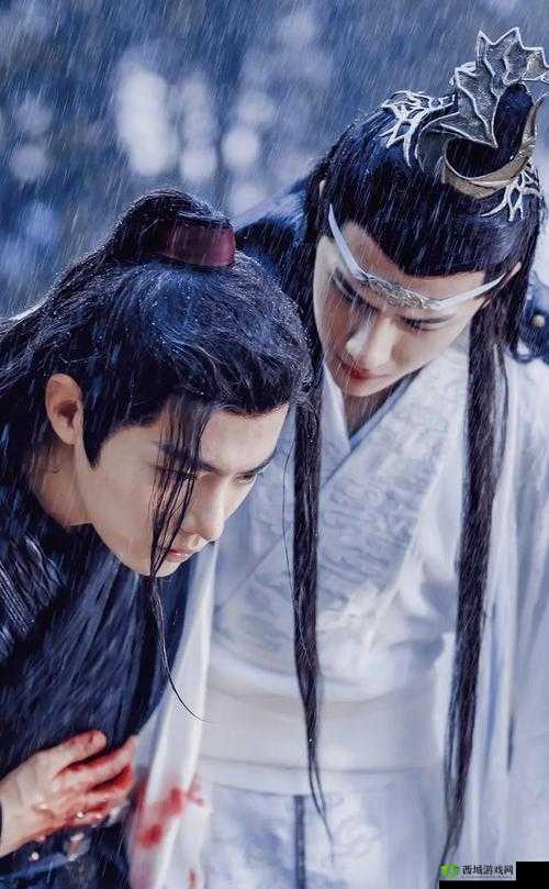 小小水蜜桃电视剧陈情令：精彩剧情等你赏