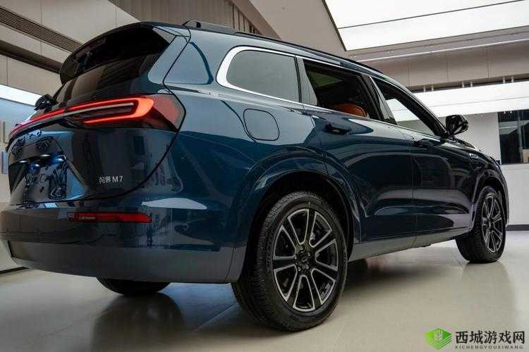 497799 欧洲版的国产 SUV 成为 168:令人瞩目的新转变