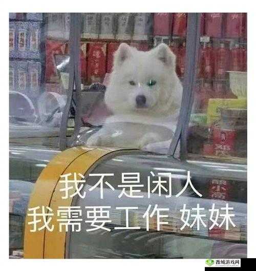 我不是猪头：天黑了，室友要看书，请点亮灯泡