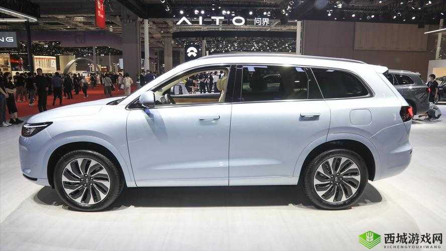 9x9x9x9x 任意槽 2024 进口视频精彩呈现