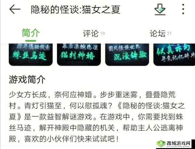 隐秘之谜:猫女之夏第章攻略解析——暗夜幻影与幽深探秘之旅