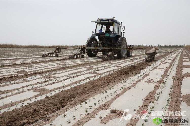 优质JY灌溉系统:高效农业的得力助手