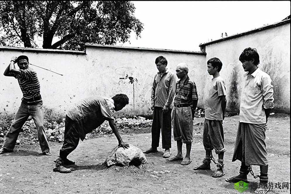 缅北恐怖视频 20 个原视频:直击恐怖真相