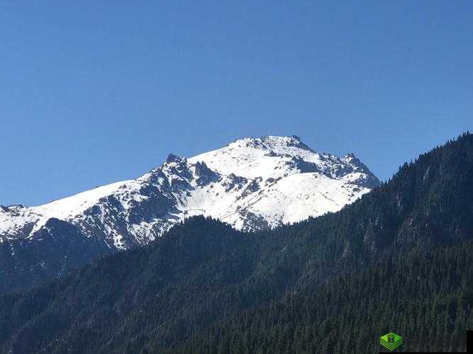 高耸的雪峰衬着巨大的蓝天对吗：引发的思考