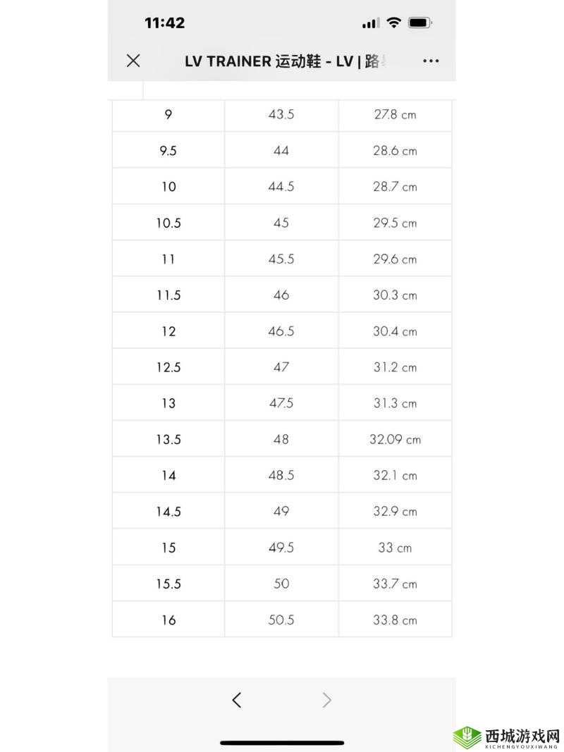 解读欧洲 LV 尺码大：原因及影响分析