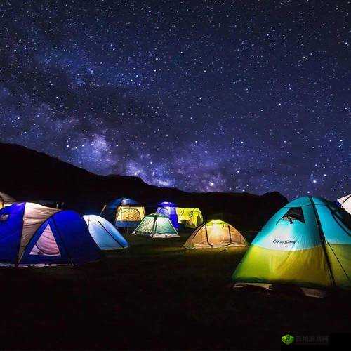 后营露营无增减第二季预告:精彩抢先看